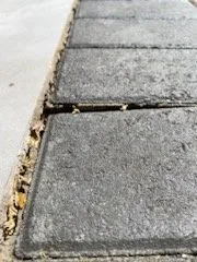 Professional outdoor landscaping for year-round maintenance in San Jose, CA by R Rivera Landscaping