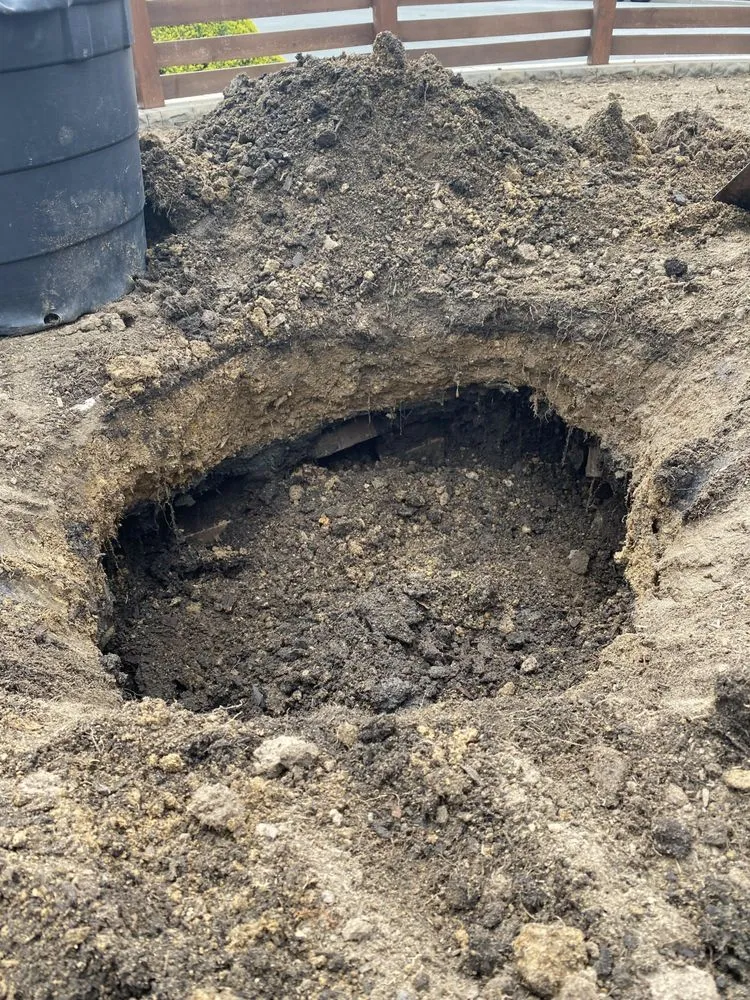 Top-rated lawn mowing service experts serving San Jose, CA - R Rivera Landscaping