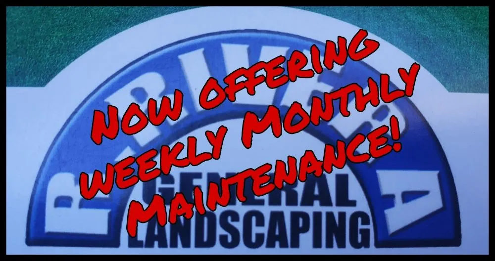 Local residential landscaping in San Jose, CA - R Rivera Landscaping