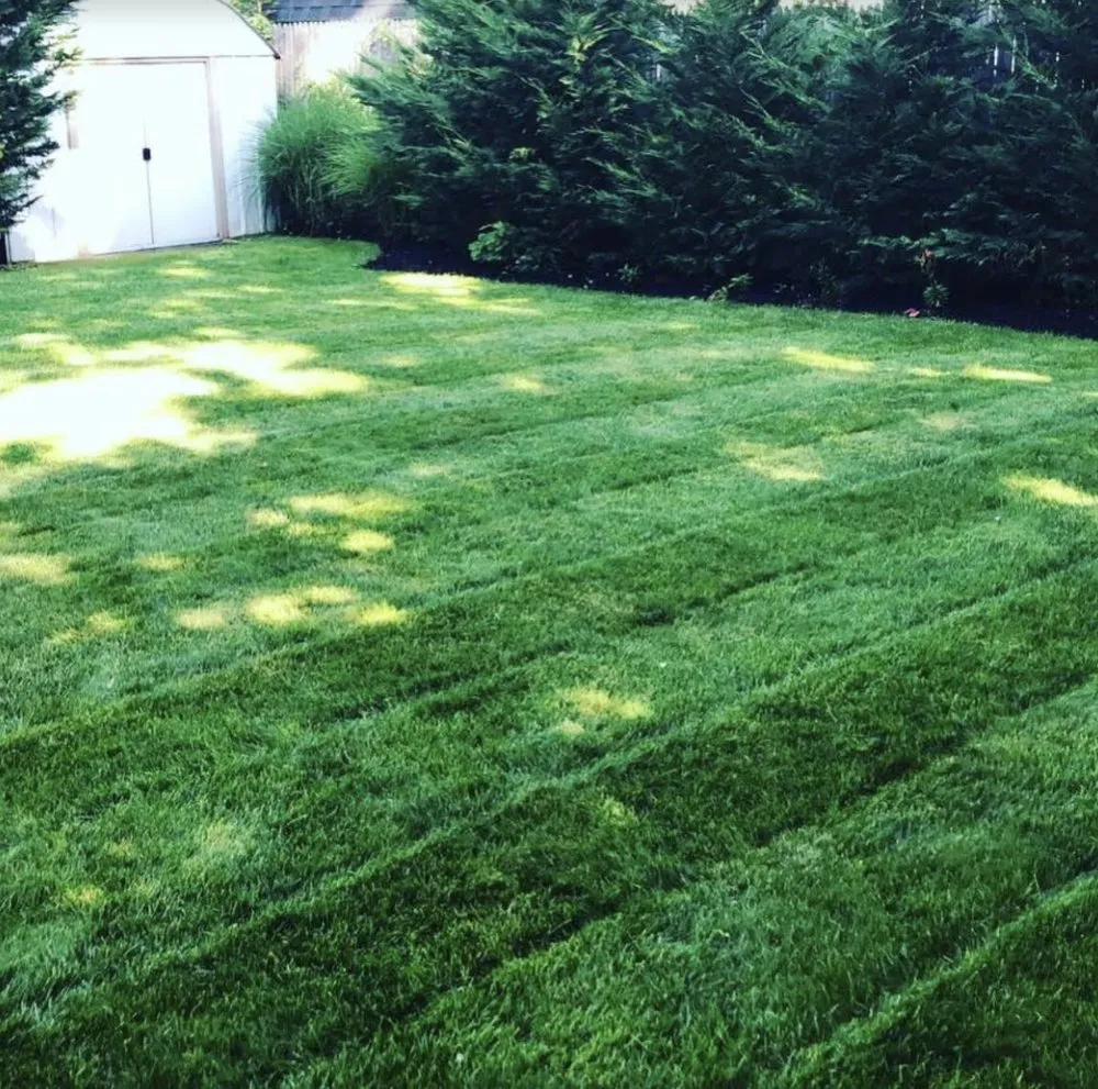 Top-rated landscape design experts serving North Babylon, NY - R Rodriguez #1 Landscaping