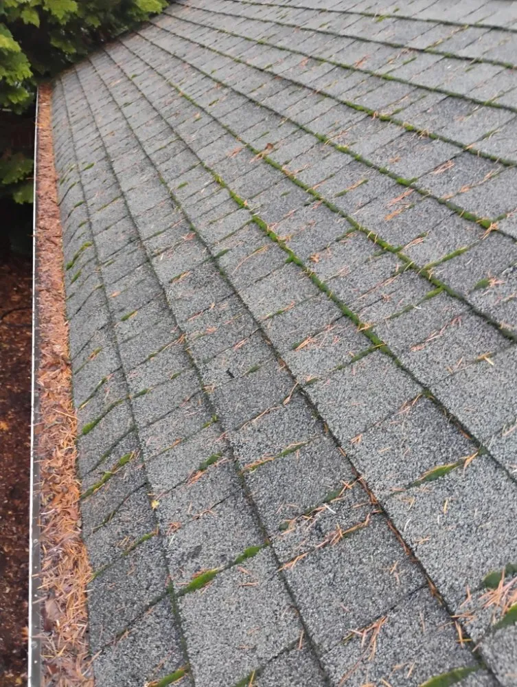 Affordable landscape installation for outdoor upgrades across Kirkland, WA - R S Landscaping