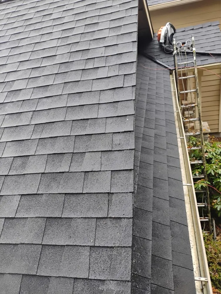 Top-rated garden landscaping in Kirkland, WA by R S Landscaping