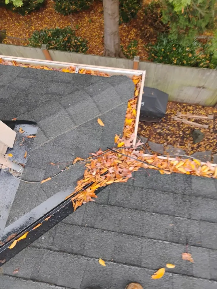 Trusted yard cleanup service in Kirkland, WA by R S Landscaping