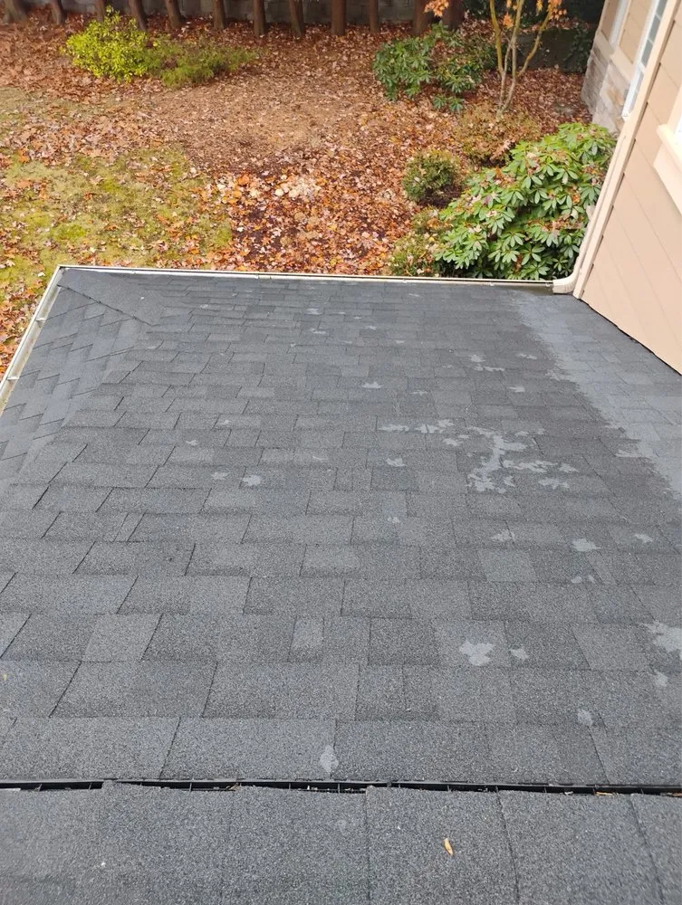 Affordable lawn care service experts serving Kirkland, WA - R S Landscaping