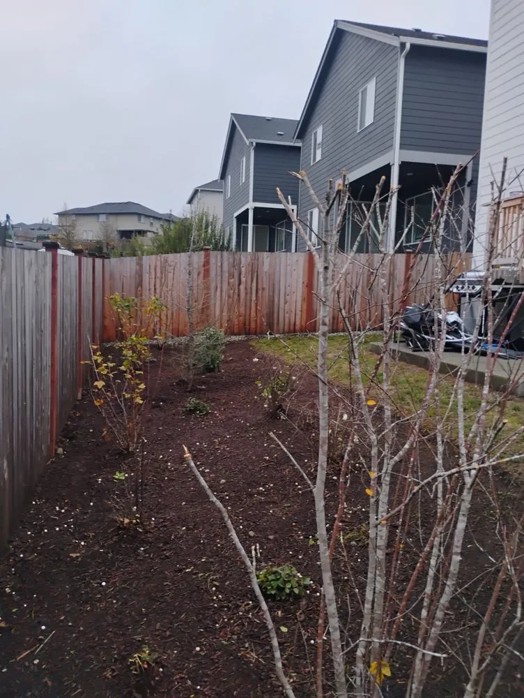 Expert lawn care service in Kirkland, WA by R S Landscaping