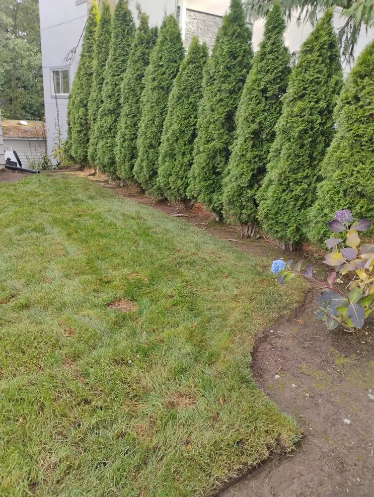 Reliable landscape design in Kirkland, WA - R S Landscaping