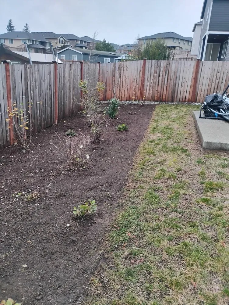 Local landscaping services in Kirkland, WA - R S Landscaping
