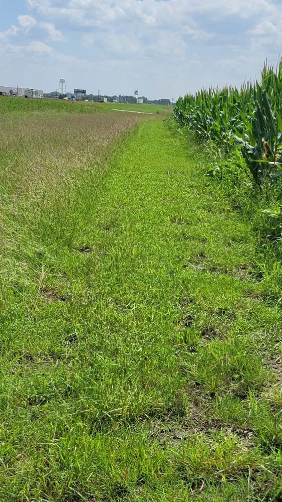 Affordable residential landscaping near you across Castroville, TX - R Salinas Lawn & Property Services