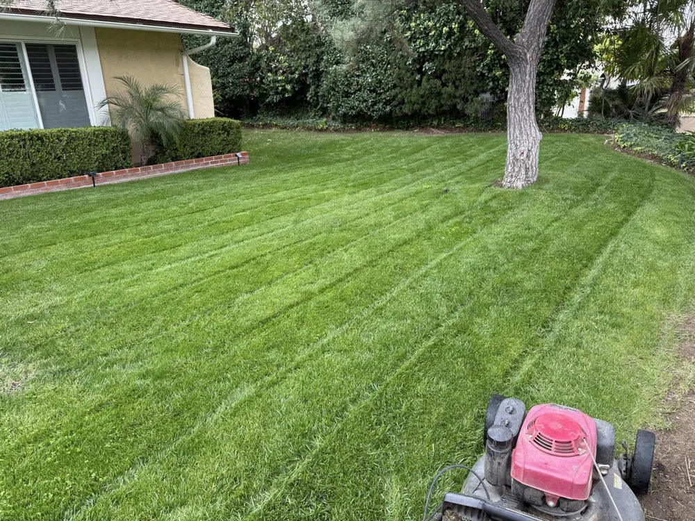 Top-rated yard maintenance for year-round maintenance across San Fernando Valley, CA - R Sandoval Gardening