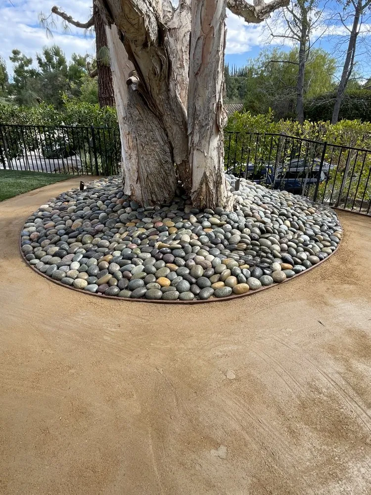 Local lawn care service for homes in San Fernando Valley, CA by R Sandoval Gardening