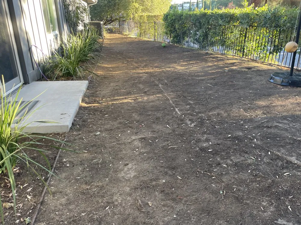 Reliable lawn mowing service for year-round maintenance across San Fernando Valley, CA - R Sandoval Gardening