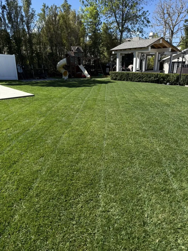 Expert outdoor landscaping experts serving San Fernando Valley, CA - R Sandoval Gardening