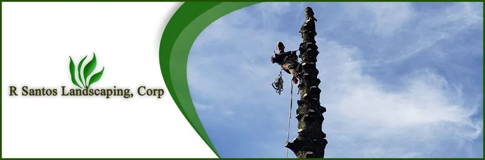 Local yard maintenance experts serving Mastic, NY - R Santos Landscaping