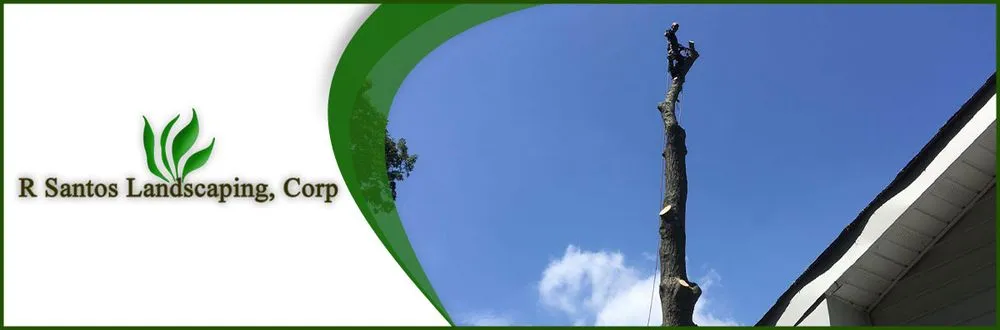 Expert landscape installation in Mastic, NY by R Santos Landscaping