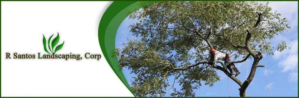 Top-rated yard cleanup service in Mastic, NY by R Santos Landscaping