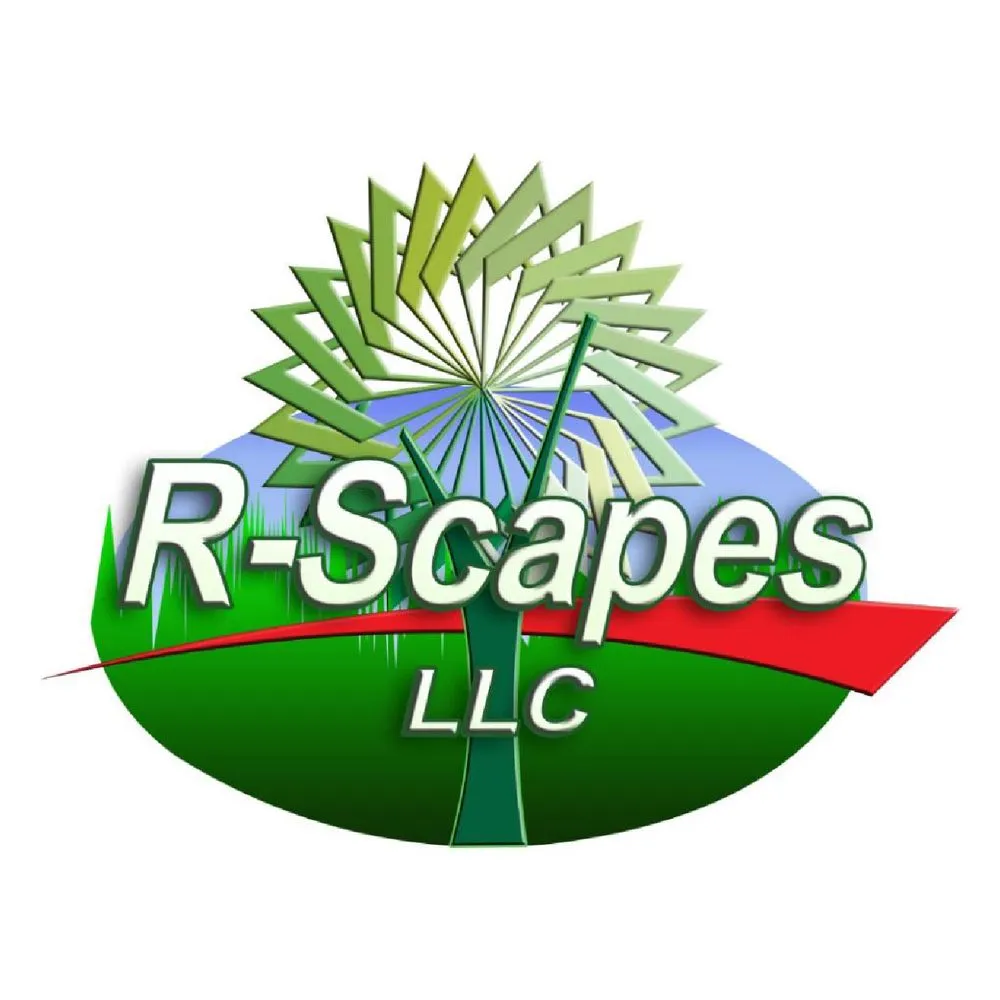 Professional yard cleanup service in Las Vegas, NV - R-Scapes