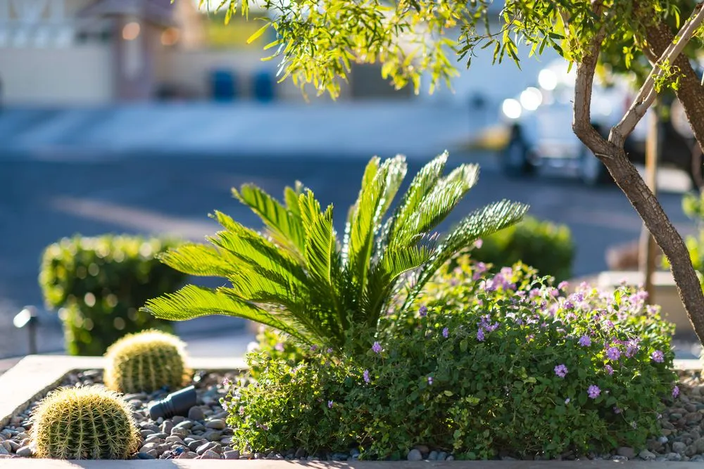 Local lawn mowing service in Las Vegas, NV - R-Scapes