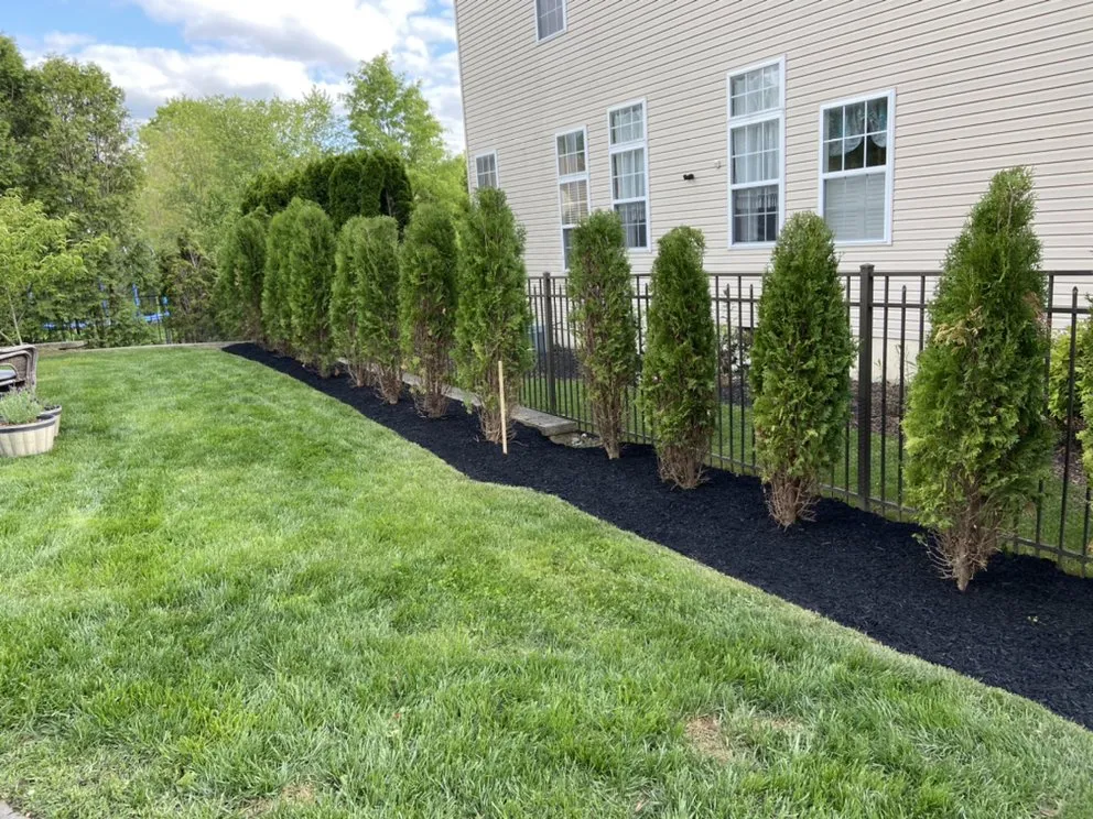 Custom lawn care service in Delran, NJ - R Soares Landscaping