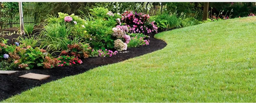 Reliable yard maintenance with custom design in Cary, NC by R Taylor Home Repairs