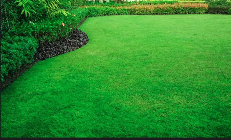 Reliable yard maintenance in Cary, NC by R Taylor Home Repairs