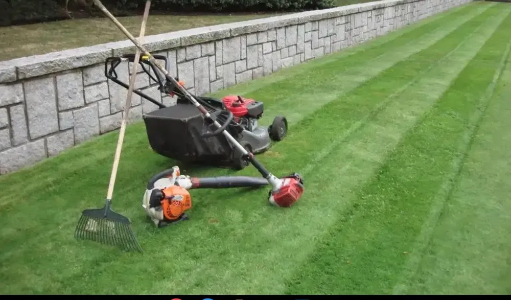 Trusted landscape design in Cary, NC - R Taylor Home Repairs