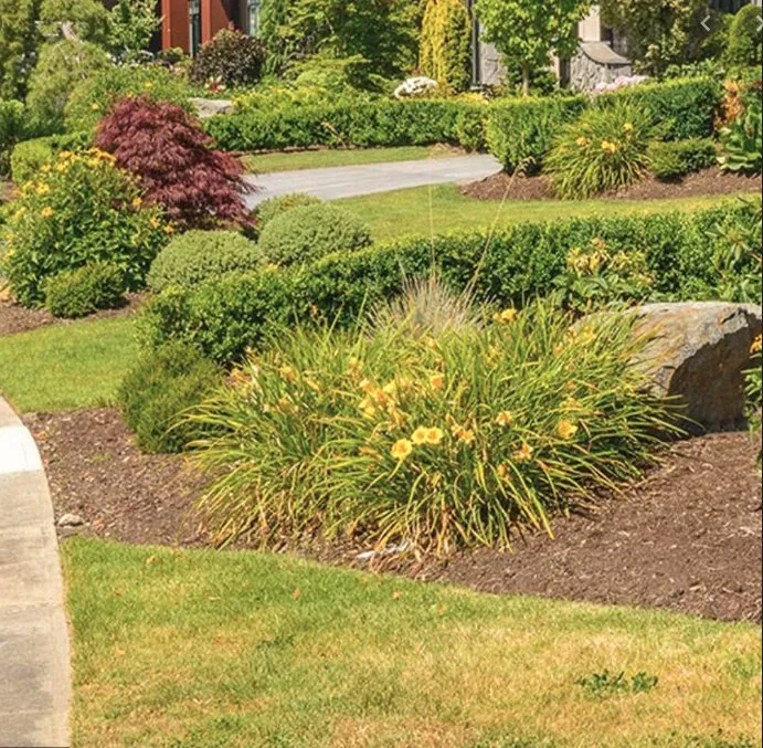 Affordable landscape design experts serving Cary, NC - R Taylor Home Repairs