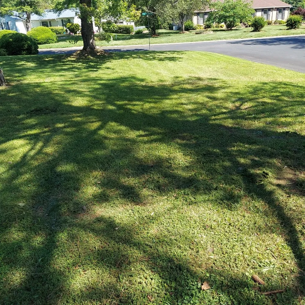 Reliable garden landscaping for beautiful yards in Cary, NC by R Taylor Home Repairs