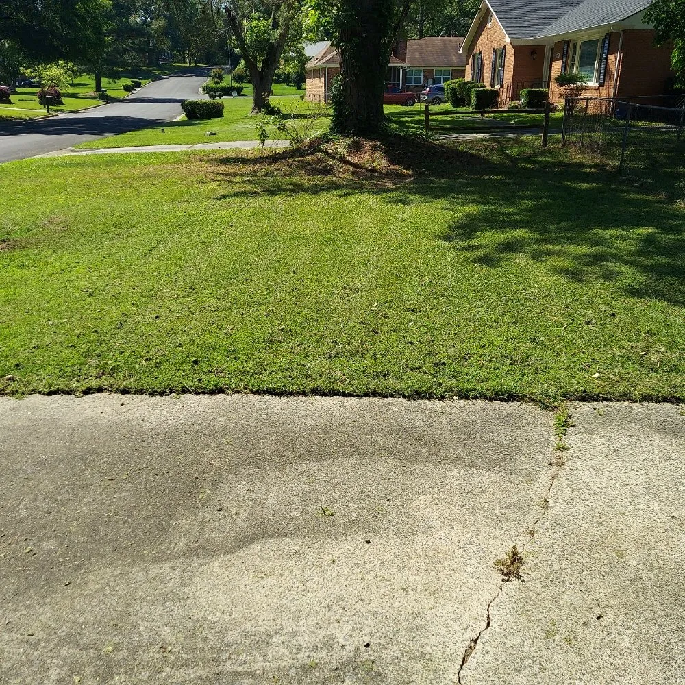 Expert landscape installation in Cary, NC - R Taylor Home Repairs