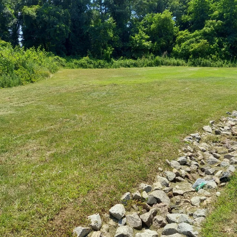 Local yard cleanup service in Cary, NC by R Taylor Home Repairs