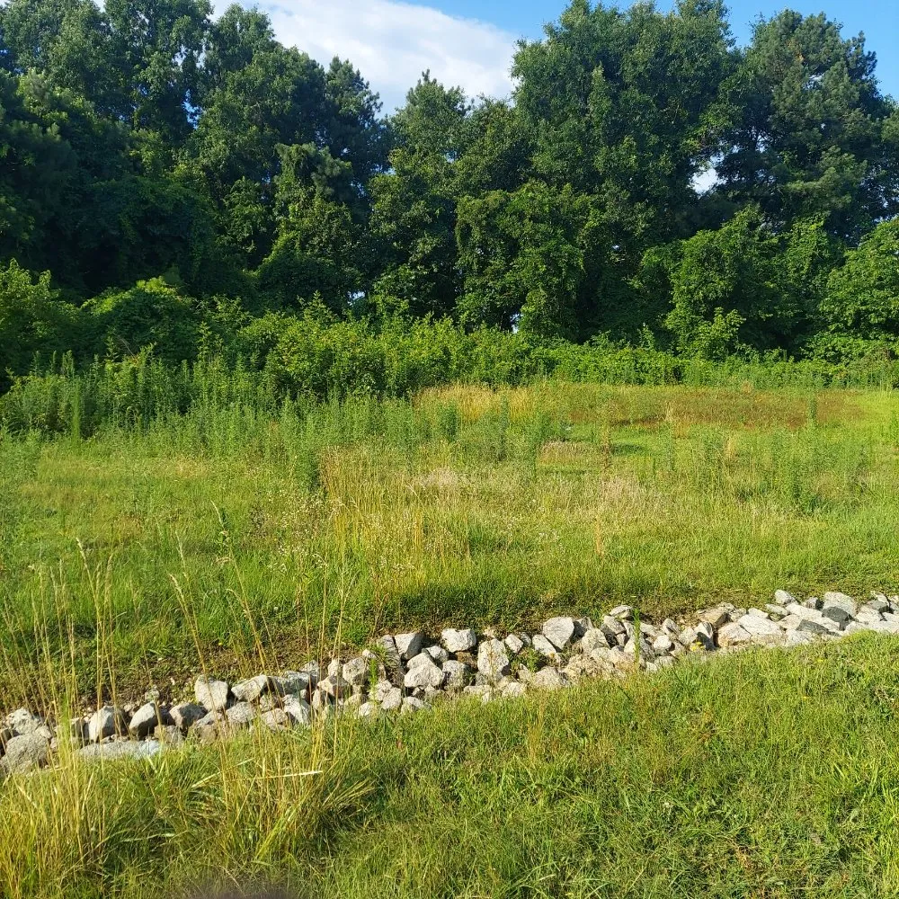 Professional lawn care service for outdoor upgrades in Cary, NC by R Taylor Home Repairs