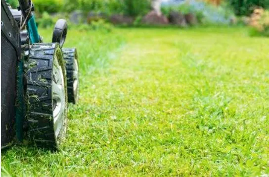 Professional landscape design with custom design across Cary, NC - R Taylor Home Repairs