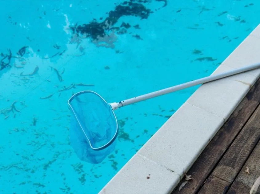 Top-rated landscaping services for year-round maintenance in Norco, CA by R-Thur's Pool N' Lawn Service