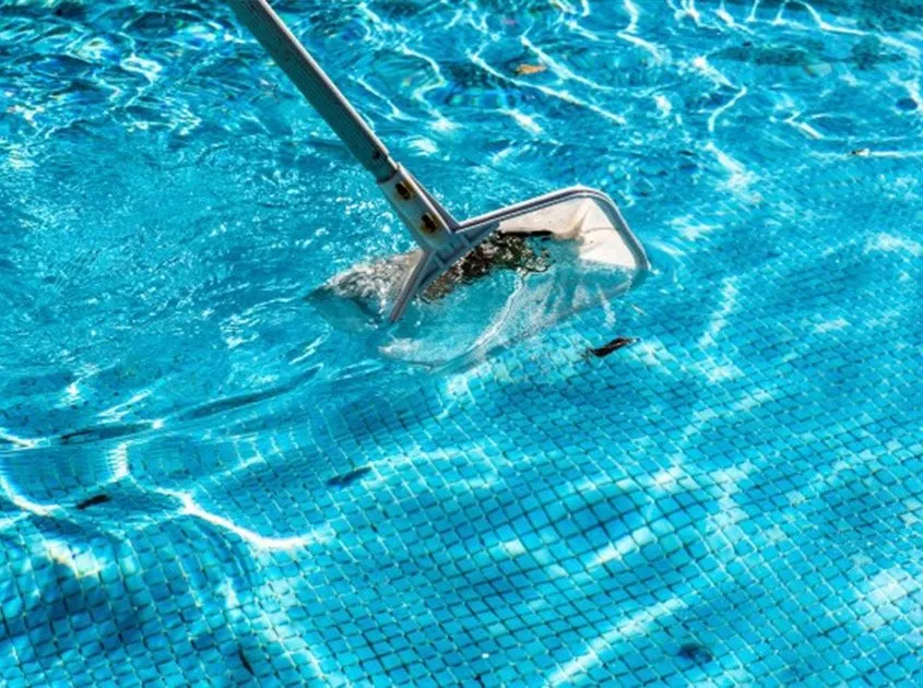 Reliable landscape design for year-round maintenance in Norco, CA by R-Thur's Pool N' Lawn Service