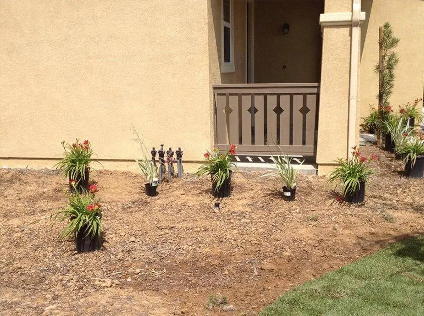 Reliable residential landscaping for residential properties across Norco, CA - R-Thur's Pool N' Lawn Service