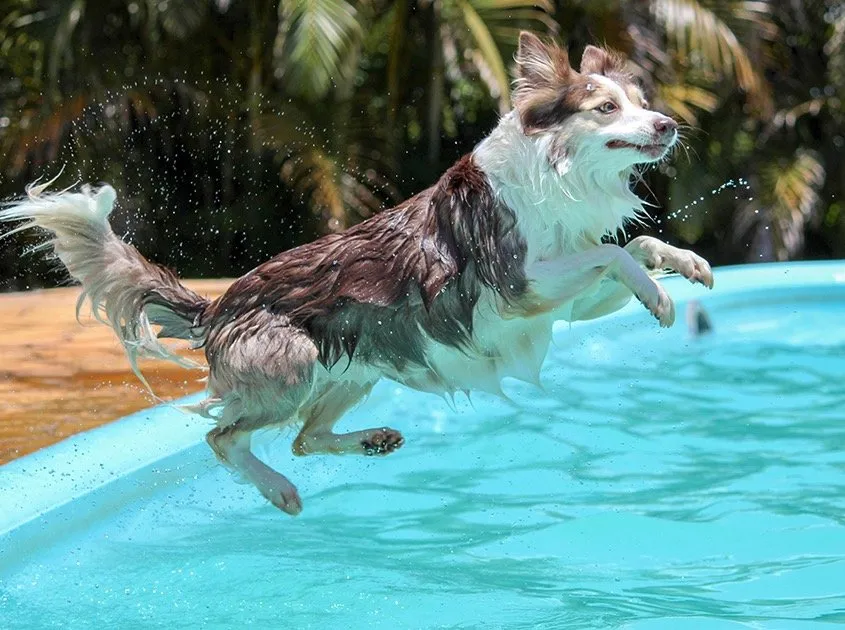 Local lawn care service experts serving Norco, CA - R-Thur's Pool N' Lawn Service