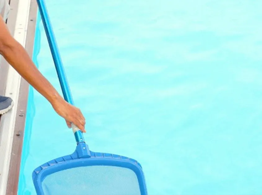 Professional yard cleanup service in Norco, CA by R-Thur's Pool N' Lawn Service