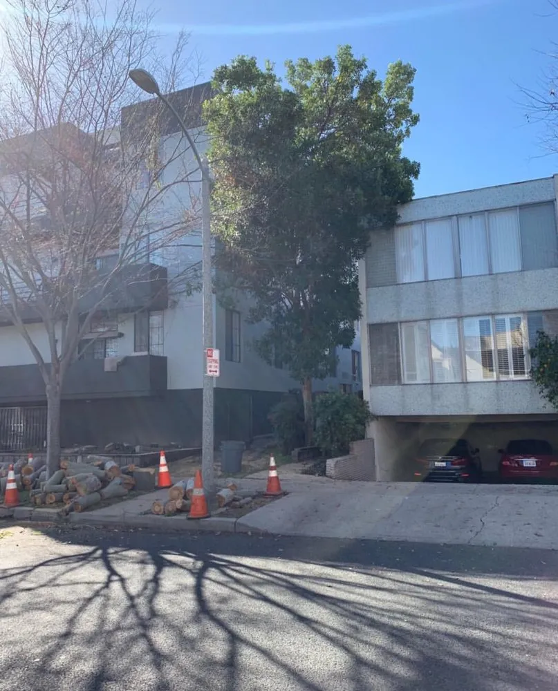 Expert outdoor landscaping in Corona, CA - R Tree Services