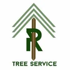Expert yard cleanup service in Corona, CA by R Tree Services