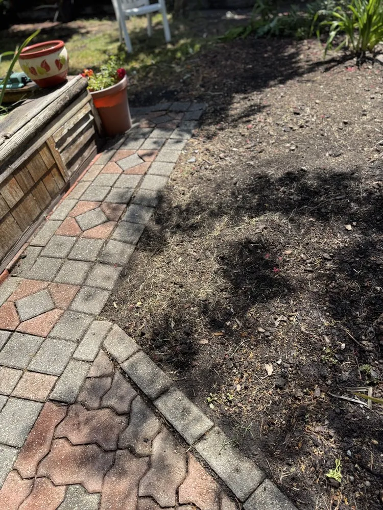 Reliable yard maintenance experts serving Healdsburg, CA - R V Landscaping And Construction