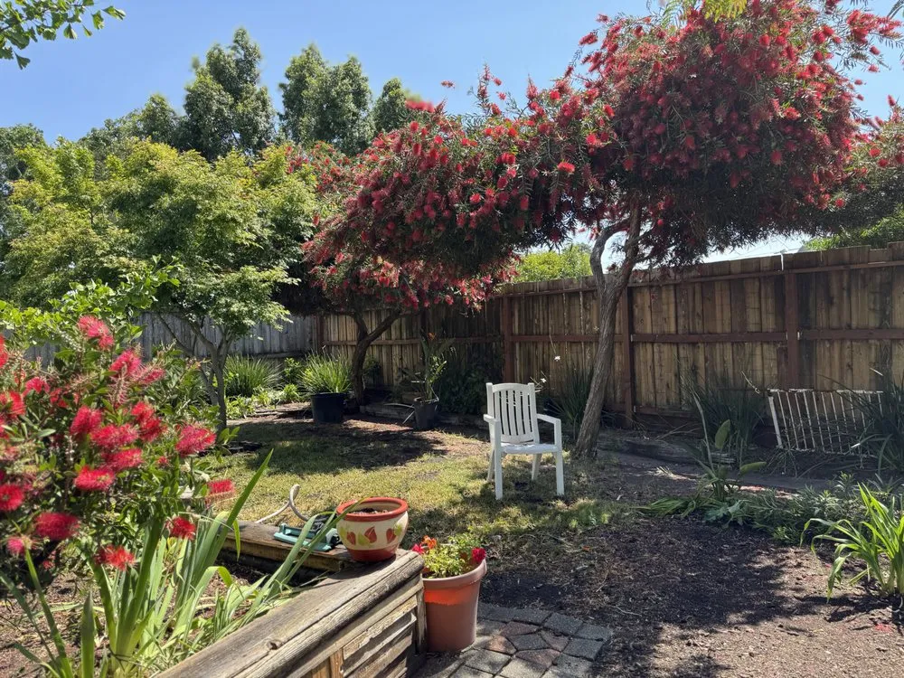 Reliable outdoor landscaping for residential properties across Healdsburg, CA - R V Landscaping And Construction