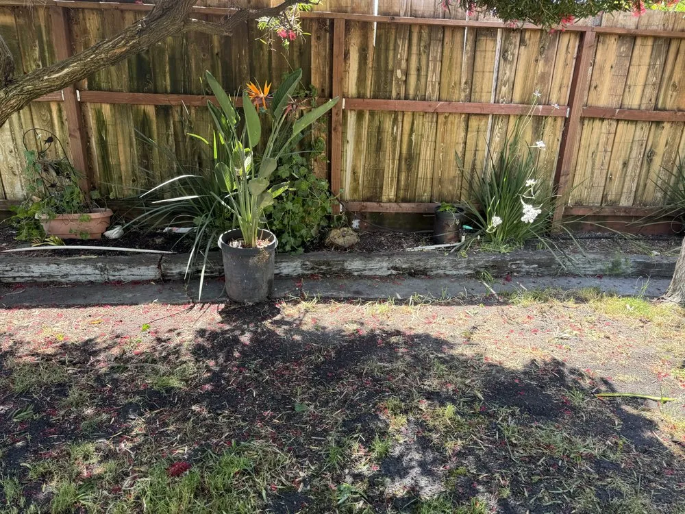 Professional outdoor landscaping for year-round maintenance in Healdsburg, CA by R V Landscaping And Construction