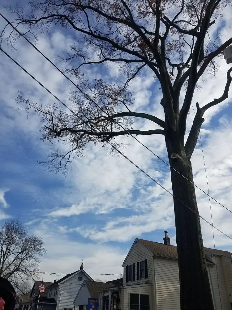 Local lawn care service for outdoor upgrades in Bound Brook, NJ by R Valverde Landscaping and Tree