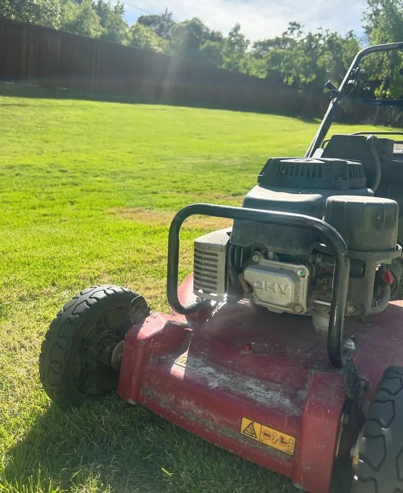 Top-rated yard cleanup service in Arlington, TX by R Vasquez LCS