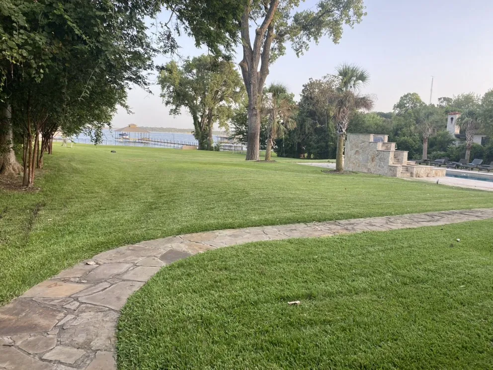 Affordable yard maintenance in Arlington, TX by R Vasquez LCS