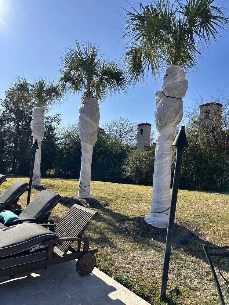 Reliable garden landscaping in Arlington, TX by R Vasquez LCS