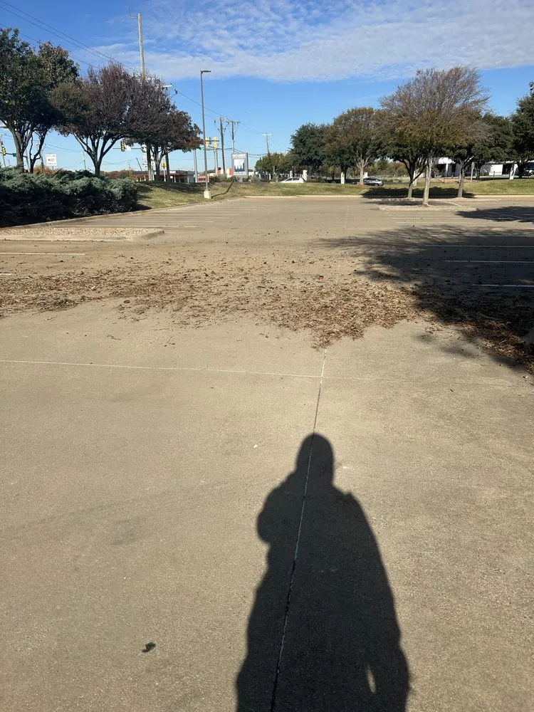 Top-rated garden landscaping in Arlington, TX by R Vasquez LCS