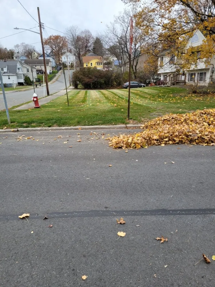 Professional landscape design in Middletown, NY - R Williams Lawn Care