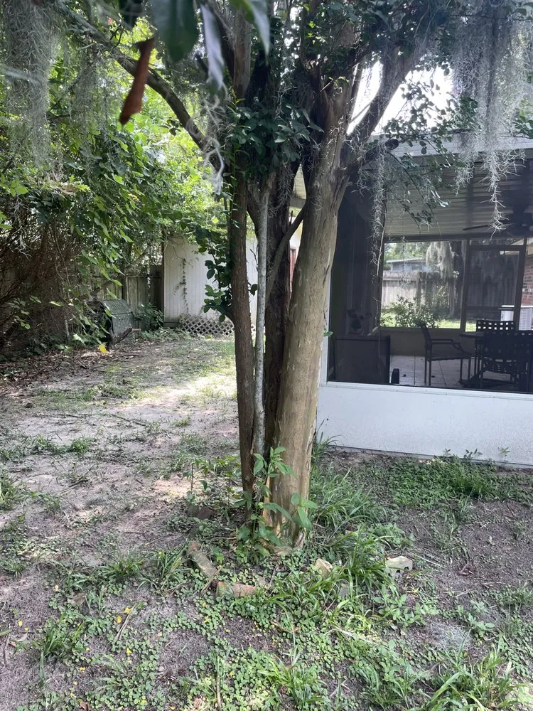 Professional lawn mowing service in Savannah, GA - R Williams Lawn Care Service