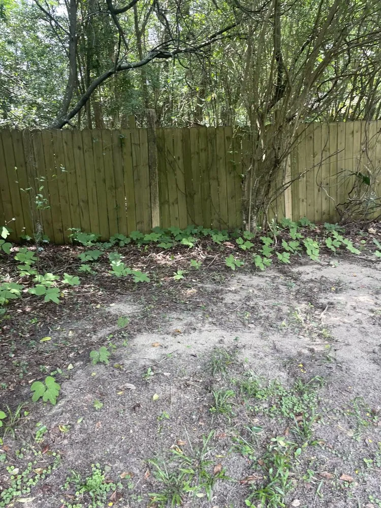 Affordable lawn care service for year-round maintenance in Savannah, GA by R Williams Lawn Care Service