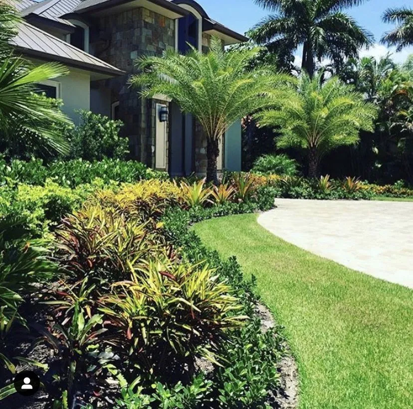 Reliable outdoor landscaping in Tarpon Springs, FL - R Williamson Landscape Contractors